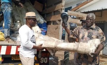 Un coup de poing dans l'avenir de la boxe gabonaise : Réception de nouveaux rings à la Fegaboxe