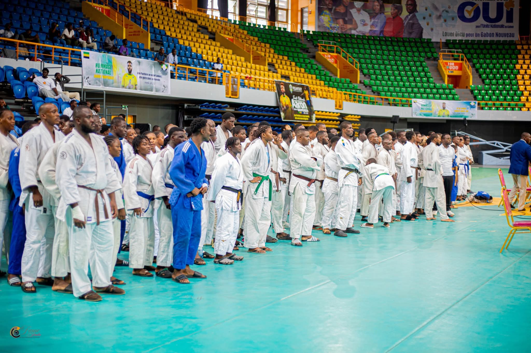 Judo gabonais : la Fégajudo lance son processus électoral pour l'olympiade 2027-2030