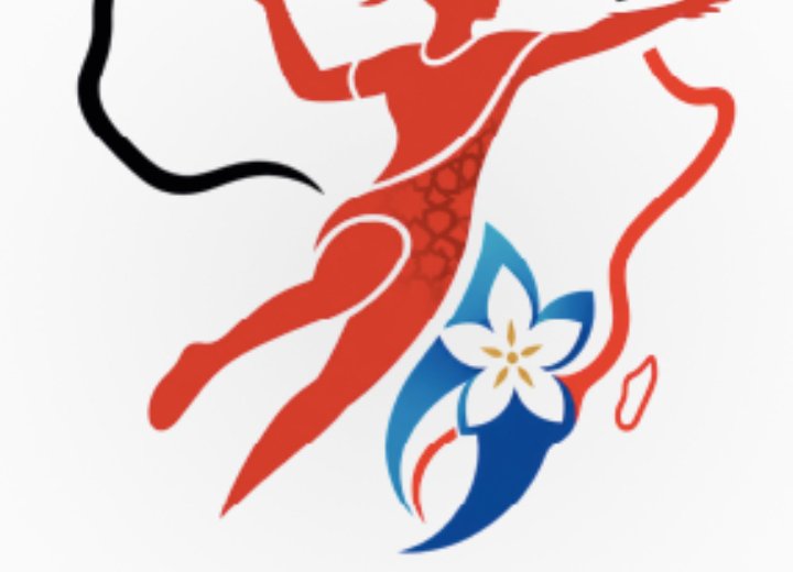 CAN féminine de handball 2026 : le tirage au sort livre quatre groupes relevés