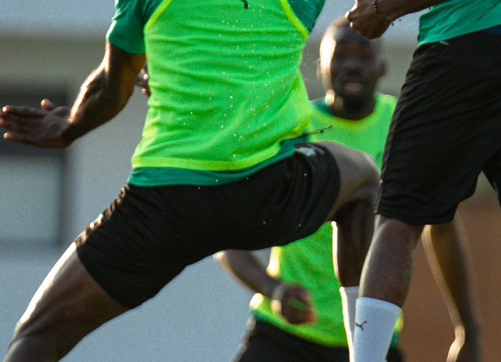 Mondial 2026 : Les Panthères du Gabon au complet pour affronter la Gambie à Nairobi