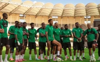 Panthères du Gabon : Pas de match amical en juin, faute de sélectionneur